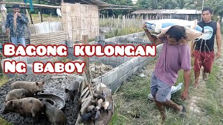 BAGONG KULONGAN NG BABOY [upl. by Drof]