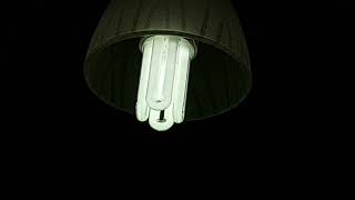 EOL CFL Philips Genie 18W E27 [upl. by Aneez]