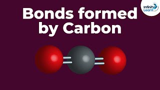 Bonds formed by Carbon  Dont Memorise [upl. by Lipps809]