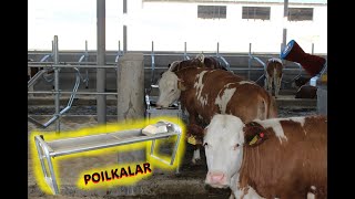 Mollar uchun suv vannalari Poilkalar [upl. by Sitoiyanap]