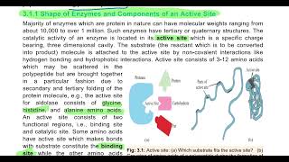 Enzyme and Enzyme Structure 11th biology enzymes Apoenzyme holoenzyme activesite [upl. by Relluf937]