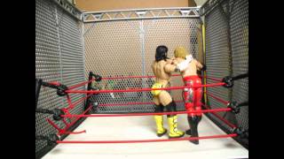 Edge vs CM Punk Steel Cage wwe toys animation [upl. by Muncey298]