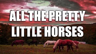 Donnie Witt  All The Pretty Little Horses [upl. by Notnerb371]