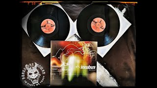 INCUBUS  Make Yourself Vinyl Review [upl. by Attener]