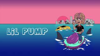 Lil Pump  quotYoungest Flexerquot ft Gucci Mane Official Audio [upl. by Ennayar]