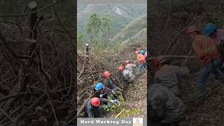 Hard Working Day 634 The Process Of Hauling Timber Down A Mountain [upl. by Meela]