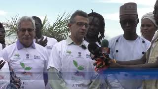 Indian Community Incollaboration With Environment Ministry And Green Up Gambia Organizes Tree Planti [upl. by Heidt685]