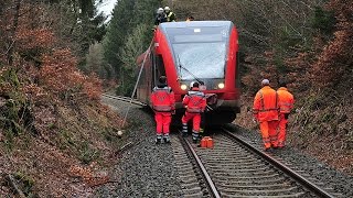 Usseln Regionalbahn rammt umstürzenden Baum [upl. by Eneg735]