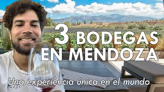 3 BODEGAS en MENDOZA [upl. by Siaht]