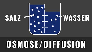 Osmose und Diffusion  Schnell und einfach erklärt  Biologie Abitur [upl. by Drucie]