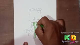 how to draw rose with colour pencils tutorial [upl. by Petite932]