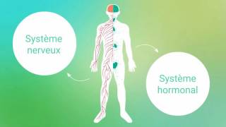 1TUTOFORMATION GESTION DU STRESS Comprendre les mécanismes du stress  Institut François Bocquet [upl. by Barbra]