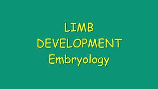 Limb Development  Embryology  DrByson EM [upl. by Ardnohs40]