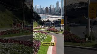 GaropabaPorAí em Balneário Camboriú [upl. by Eceined]