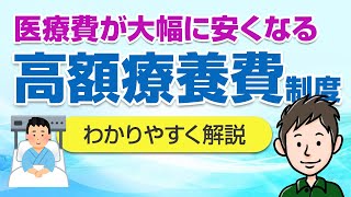 医療費が大幅に安くなる！知らなきゃ損する高額療養費制度を徹底解説 [upl. by Heidie257]