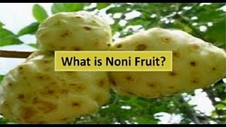 What is Noni What is Noni Juice  Information of Noni Noni Fruit health benefits and Uses [upl. by Aerdna179]