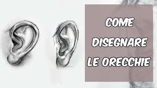 Come disegnare lorecchio interno ed esterno [upl. by Amberly]