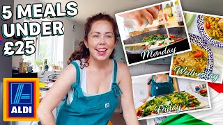 5 Meals For UNDER £25 From Aldi  EASY DINNER RECIPES For The Family Part 2 [upl. by Boar]