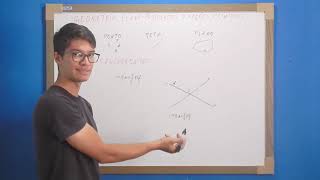 Matemática Elementar Geometria Plana  Postulados e Proposições Primitivas [upl. by Vaenfila]