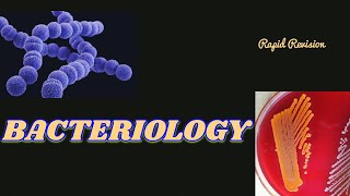 Bacteriology Microbiology  Rapid Revision Oneshot Bacteria neet mbbs study [upl. by Ruphina]