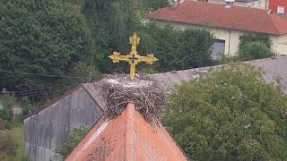 Storchennest Kirche Haag i OB [upl. by Koralie761]