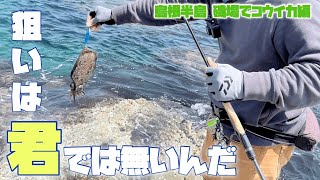 君じゃないんだよなぁ～編 山陰釣りどげかいな 島根半島 エギング アオリイカ [upl. by Jenei]