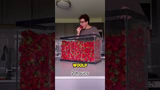 World Record for Eating Strawberries 😲 [upl. by Letti99]