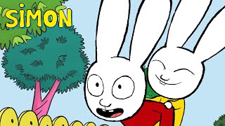 Super grand frère  Simon Superlapin  Épisode Complet Saison 1  Dessin animé pour enfants [upl. by Dranel276]