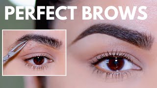 HOW TO GROOM SHAPE amp MAINTAIN EYEBROWS AT HOME BEGINNER FRIENDLY [upl. by Iolanthe832]