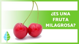 6 Increíbles BENEFICIOS de las CEREZAS 🍒✅ ¡Conoce sus Propiedades Medicinales [upl. by Ecinej]