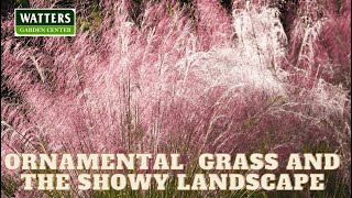 🌿Ornamental Grass and the Showy Landscape 🌿 [upl. by Meggy357]