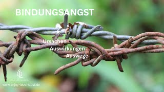 BINDUNGSANGST  URSACHEN AUSWIRKUNGEN ABHILFE [upl. by Mayfield]