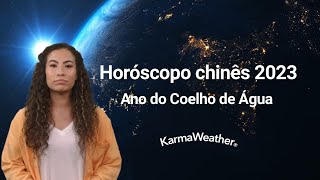 Horóscopo chinês 2023  Ano do Coelho de Água [upl. by Aneeuqahs]