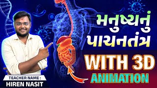 Human Digestive System in Gujarati  Digestive System 3D Animation  Digestive System By Hiren Sir [upl. by Canfield269]