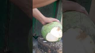 Satisfyingsliced young coconut coconut satisfying shortsviral coconutfruit fypシ゚ [upl. by Ennovihs]