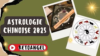 Astrologie Chinoise 2025 Horoscope et Prédictions de lAnnée du Serpent de Bois [upl. by Zetnauq]