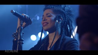 Shaka Ponk  Killing Hallelujah live Alcaline France 2 [upl. by Damal]