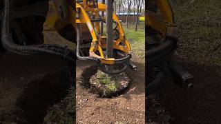 didingmachine treecuttingservice treedidingmachine treeremoval treedidingvideo [upl. by Naujej445]