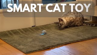 Smart Interactive Cat Toy Review [upl. by Horace]