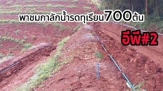 ทุเรียน 700 ต้น ให้น้ำแบบฟรี ๆเ สร็จใน 20 นาที Ep2 [upl. by Brader]