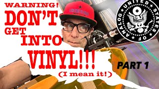 WARNING DONT Get Into Vinyl  PART1  A Beginners GUIDE [upl. by Nylkoorb]