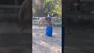 Too many times older horses are passed over Dale is 22yo and helped Thea learn how to ride [upl. by Cozza]