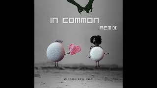 IN COMMON REMIX [upl. by Owades]