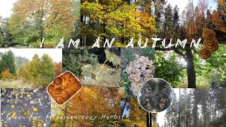 im Herbst angekommen aber so richtig I cozy fall activities [upl. by Figge]