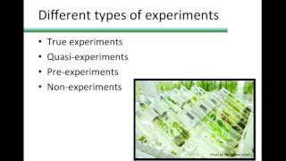 True Quasi Pre and Non Experimental designs [upl. by Bayer]