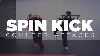 Spin Kick Counter Attacks for Point Sparring [upl. by Pomfret45]