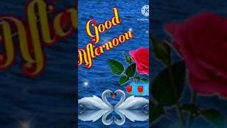 GOOD AFTERNOON video [upl. by Ynaffets]