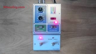 MuTron Octave Divider Flashback Review  MikesGigTV [upl. by Alimhaj]