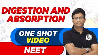 DIGESTION amp ABSORPTION in 1 Shot  All Concepts Tricks amp PYQs  NEET Crash Course  UMEED 20 [upl. by Dhumma]