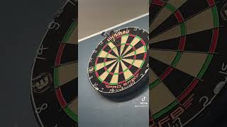 Practice Make Perfect darts winmau [upl. by Cristi725]